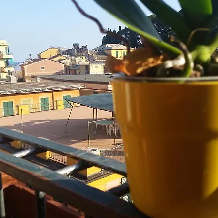Apartment Splendid